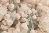 Pink Rhodochrosite After Calcite on Barite & Pyrite - Bulgaria #323948-1